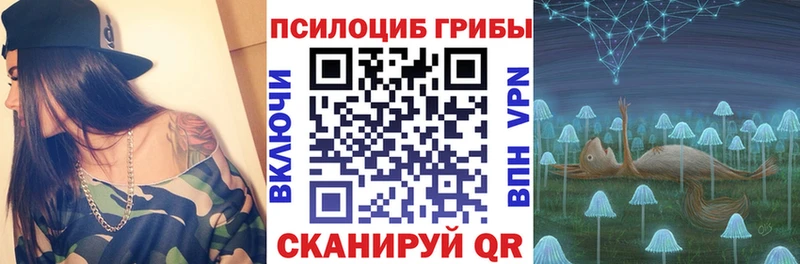 omg зеркало  Полевской  Галлюциногенные грибы Cubensis  где продают наркотики 