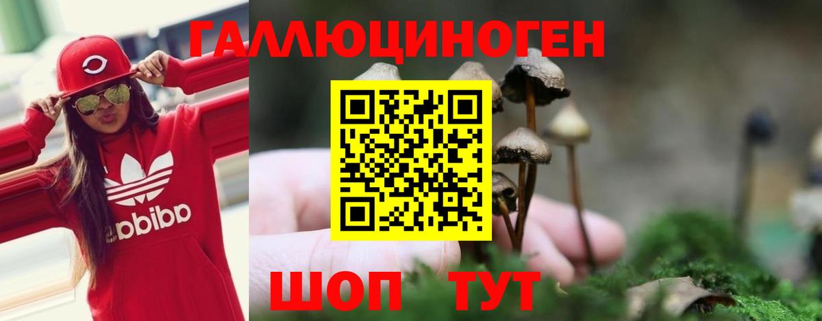 цены   Псилоцибиновые грибы мухоморы  Псилоцибиновые грибы Psilocybe  Вход с VPN  Полевской 